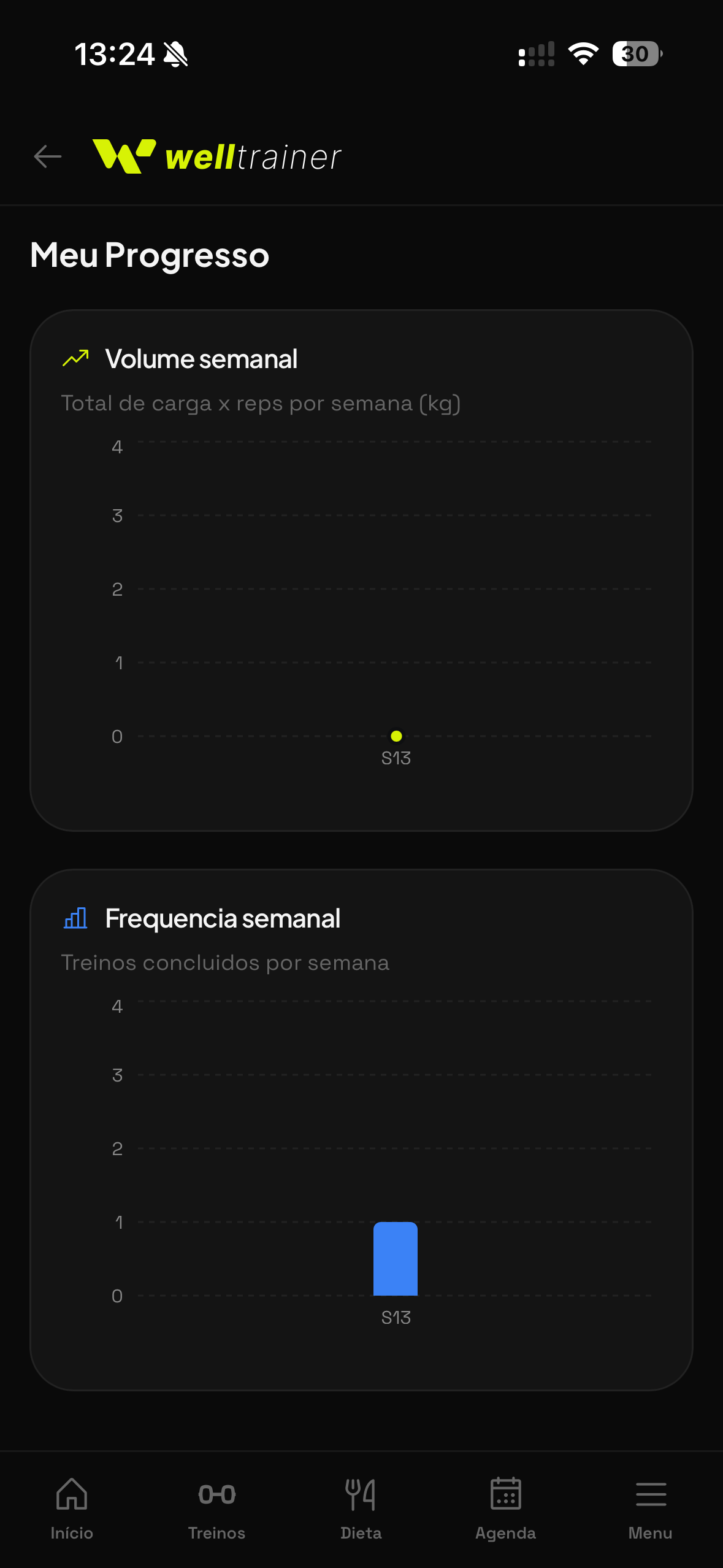Painel de progresso do aluno com gráficos de volume e frequência semanal no app Welltrainer