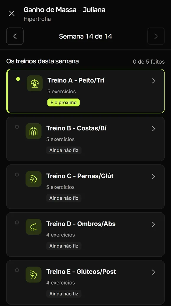 Plano de treino no app do aluno do Welltrainer, na Semana 14 de 14, com os treinos A a E e o selo É o próximo no Treino A